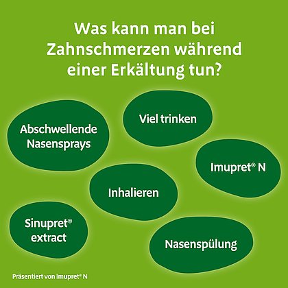 Grüne Infografik mit der Überschrift „Was kann man bei Zahnschmerzen während einer Erkältung tun?“. Mehrere grüne Ellipsen nennen Maßnahmen: abschwellende Nasensprays, viel trinken, inhalieren, Nasenspülung, Sinupret® extract und Imupret® N. Unten der Hinweis „Präsentiert von Imupret® N“.