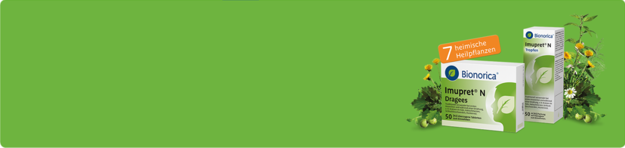 Header Imupret® N Dragees Beipackzettel