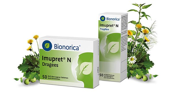 Imupret N Dragees und Tropfen, zusammen mit den enthaltenen Pflanzen