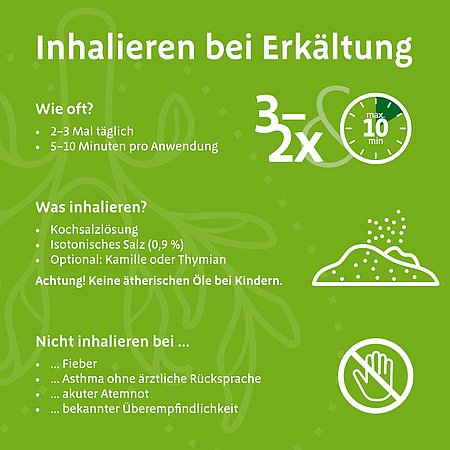 Infografik mit dem Titel „Inhalieren bei Erkältung“. Sie zeigt Empfehlungen zur Anwendung: 2–3 Mal täglich für jeweils 5–10 Minuten. Empfohlene Inhalte zum Inhalieren sind Kochsalzlösung, isotone Salzlösung (0,9 %) sowie optional Kamille oder Thymian. Hinweis: keine ätherischen Öle bei Kindern. Zudem werden Situationen genannt, in denen Inhalieren nicht empfohlen wird: bei Fieber, bei Asthma ohne ärztliche Rücksprache, bei akuter Atemnot oder bekannter Überempfindlichkeit. Grafische Symbole illustrieren Häufigkeit, Dauer, ein Kräuter- bzw. Pulversymbol und ein Verbotsschild. Grüner Hintergrund mit dezenten Pflanzenmotiven.