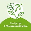 Grafik mit drei grünen Pflanzenillustrationen auf weißem Kreis und Text „Einzigartige 7-Pflanzenkombination“