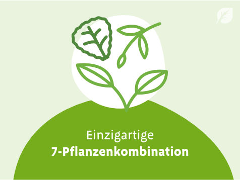 Grafik mit drei grünen Pflanzenillustrationen auf weißem Kreis und Text „Einzigartige 7-Pflanzenkombination“
